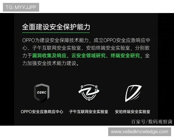 欧博会员登陆官网安全保障措施,保障您的账户信息安全与隐私保护