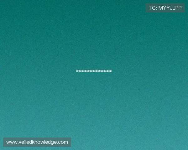 星空体育下载带来的体育赛事观看新体验与用户评价
